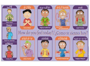 Sign Language Emotions Poster Time To Sign